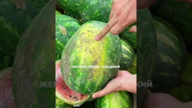 Как правильно выбирать арбуз Лайфхак Как правильно выбирать арбуз Лайфхак