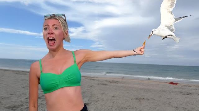You Laugh, You Lose! Best Funny Fails of the Week You Laugh, You Lose! Best Funny Fails of the Week