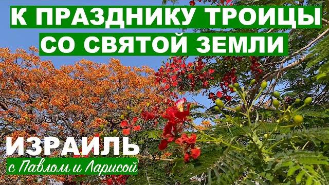 Святая Земля | Троица в Иерусалиме Святая Земля | Троица в Иерусалиме