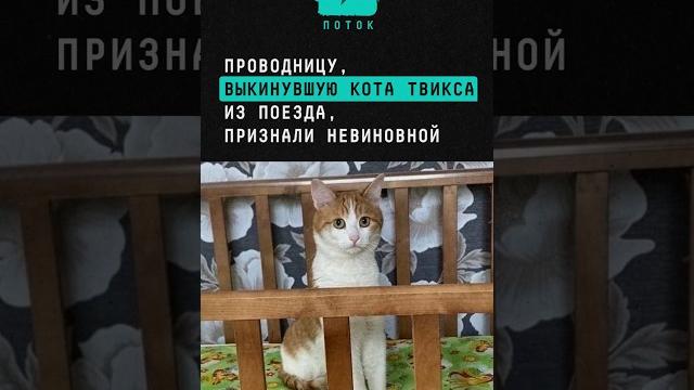 Проводницу, выкинувшую кота Твикса из поезда, признали невиновной #твикс #кот #новости #суд #РЖД Проводницу, выкинувшую кота Твикса из поезда, признали невиновной #твикс #кот #новости #суд #РЖД