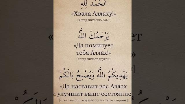 СЛОВА при ЧИХАНИИ в ИСЛАМЕ. СЛОВА при ЧИХАНИИ в ИСЛАМЕ.