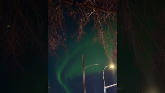 northern lights aurora borealis northern lights aurora borealis