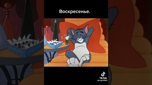 Воскресенье #отдых #воскресенье #приколы Воскресенье #отдых #воскресенье #приколы