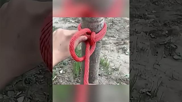 1000-летние узлы которые передались из поколения! 1000-летние узлы которые передались из поколения!