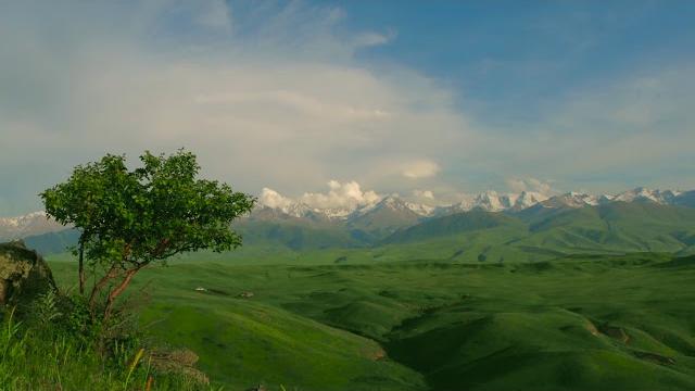 Природа - Казахстан ролик для Canon Kazakhstan Природа - Казахстан ролик для Canon Kazakhstan