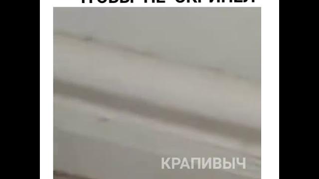 Видео приколы с WhatsApp Видео приколы с WhatsApp