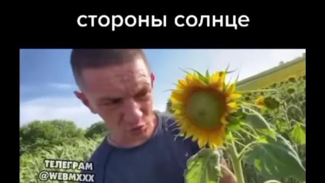 Как определить, с какой стороны Солнце Как определить, с какой стороны Солнце
