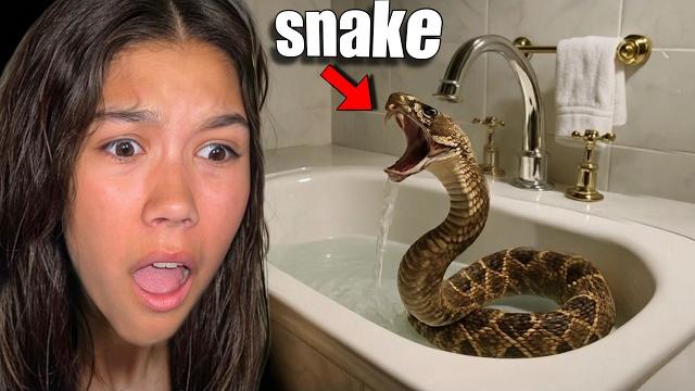 I Found A RATTLE SNAKE in my Bathroom! *SCARY* I Found A RATTLE SNAKE in my Bathroom! *SCARY*