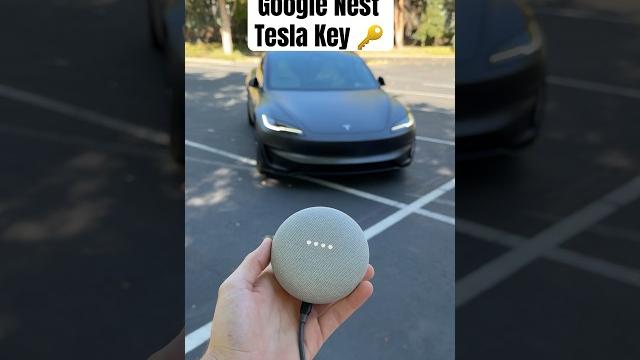 Can I Unlock My Tesla With a Google Nest Mini?? Can I Unlock My Tesla With a Google Nest Mini??