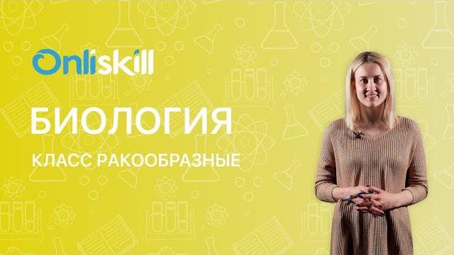 Биология 7 класс : Класс Ракообразные Биология 7 класс : Класс Ракообразные