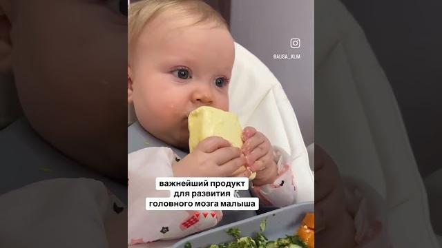 ПРИКОРМ. ВАЖНЕЙШИЙ ПРОДУКТ РАЗВИТИЯ МОЗГА ПРИКОРМ. ВАЖНЕЙШИЙ ПРОДУКТ РАЗВИТИЯ МОЗГА