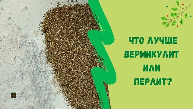 Что лучше Вермикулит или Перлит? Что лучше Вермикулит или Перлит?