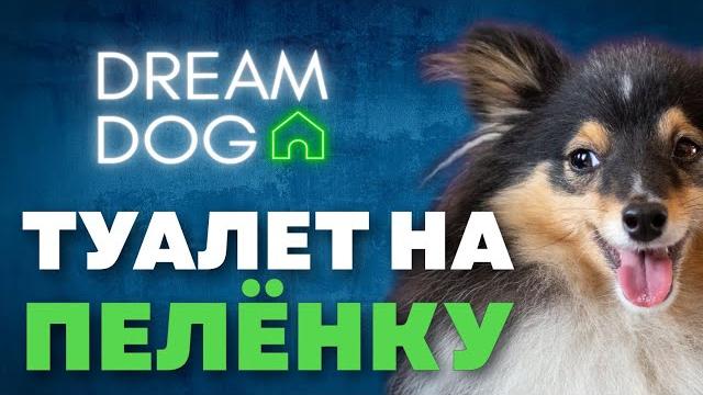 Туалет на пеленку Как отучить собаку писать и гадить дома на пол Приучить щенка ходить в лоток Туалет на пеленку Как отучить собаку писать и гадить дома на пол Приучить щенка ходить в лоток
