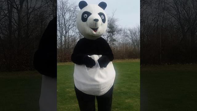 Panda twerk Panda twerk