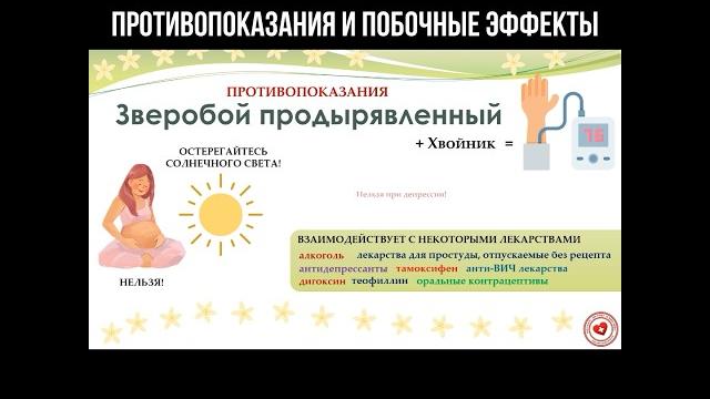 Зверобой продырявленный: противопоказания и побочные эффекты #зверобой #народнаямедицина #травы Зверобой продырявленный: противопоказания и побочные эффекты #зверобой #народнаямедицина #травы