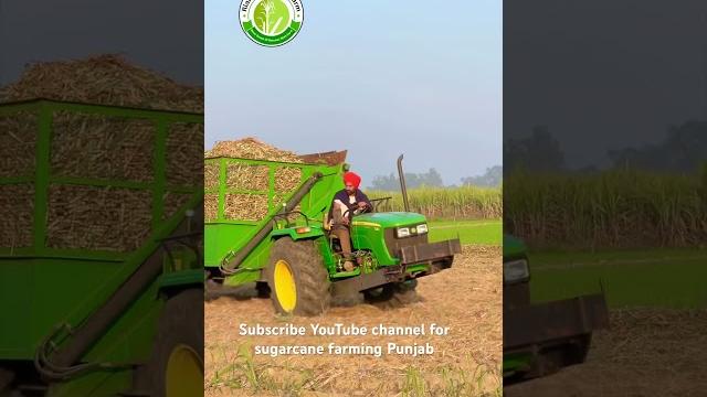 Subscribe channel for full video #riar_sugarcane_farm #sugarcane #harinder #johndeere Subscribe channel for full video #riar_sugarcane_farm #sugarcane #harinder #johndeere