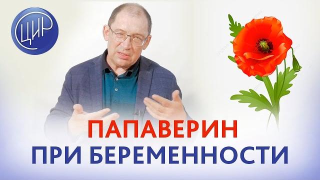 Папаверин при беременности. Свечи с папаверином при болях внизу живота и в пояснице при беременности Папаверин при беременности. Свечи с папаверином при болях внизу живота и в пояснице при беременности
