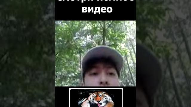 видео на кнопочный телефон 2007 видео на кнопочный телефон 2007