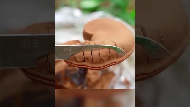 Зачем с грибов собирают бурую пыль? Зачем с грибов собирают бурую пыль?