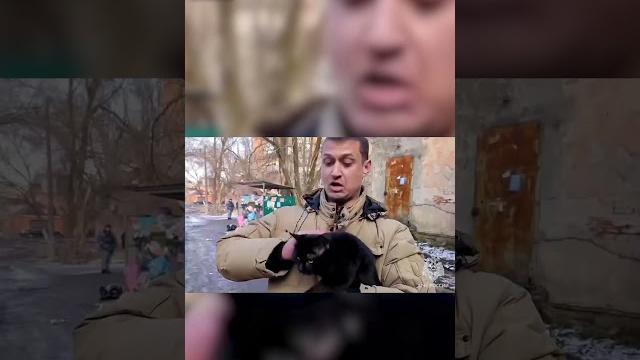 Спасли животных из разрушенного дома в Ростове на Дону. #Short #Ростовнадону #обрушение #нисок Спасли животных из разрушенного дома в Ростове на Дону. #Short #Ростовнадону #обрушение #нисок