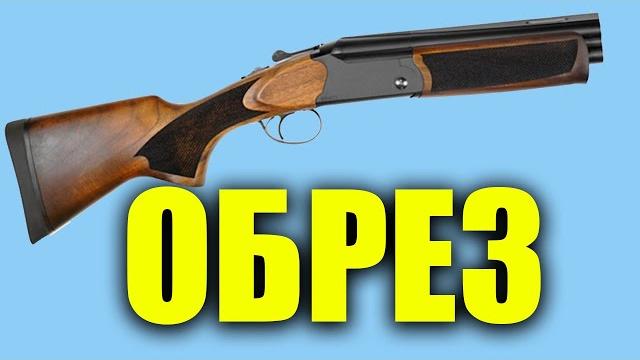 ЛЕГАЛЬНЫЙ ОБРЕЗ 12 калибра #shorts ЛЕГАЛЬНЫЙ ОБРЕЗ 12 калибра #shorts