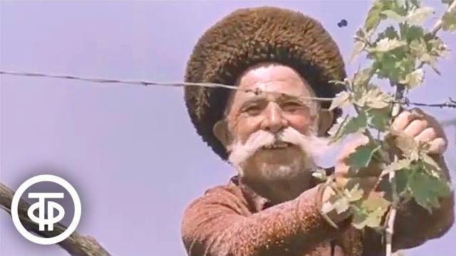 Дербент (1985) Дербент (1985)