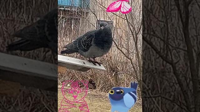 к нам в гости прилетел к нам в гости прилетел