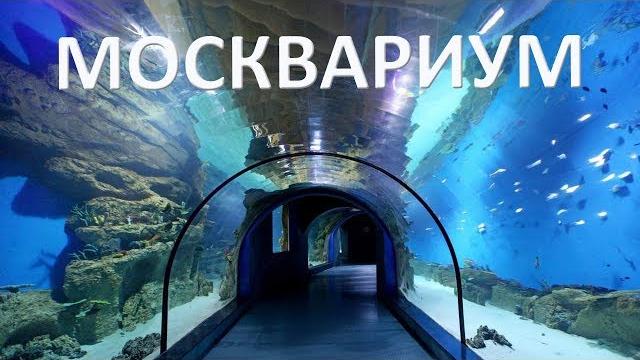 Москвариум на ВДНХ. Москвариум на ВДНХ.