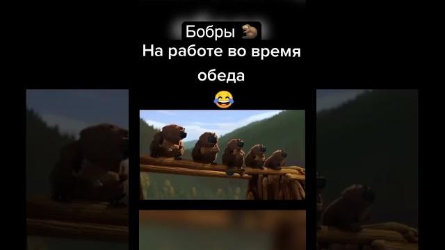 БОБРЫ НА РАБОТЕ ВО ВРЕМЯ ОБЕДА | СМЕЯЛСЯ ДО СЛЁЗ | ПОДБОРКА ЛУЧШИЕ ПРИКОЛЫ И САМЫЕ СМЕШНЫЕ ВИДЕО БОБРЫ НА РАБОТЕ ВО ВРЕМЯ ОБЕДА | СМЕЯЛСЯ ДО СЛЁЗ | ПОДБОРКА ЛУЧШИЕ ПРИКОЛЫ И САМЫЕ СМЕШНЫЕ ВИДЕО