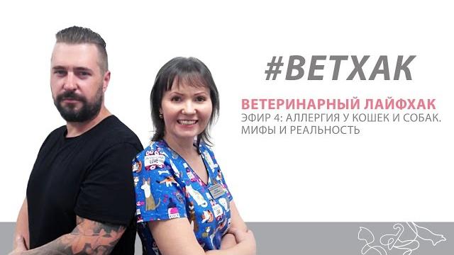 Ветхак #4: Аллергия у кошек и собак. Мифы и реальность. Ветхак #4: Аллергия у кошек и собак. Мифы и реальность.