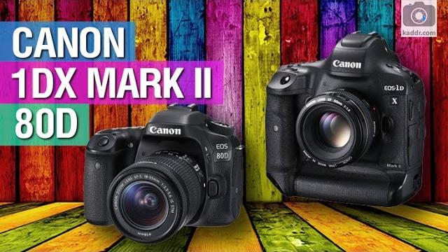 Canon EOS 1D X Mark II и 80D - Презентация, первые впечатления, мотоциклы и пиротехника Canon EOS 1D X Mark II и 80D - Презентация, первые впечатления, мотоциклы и пиротехника