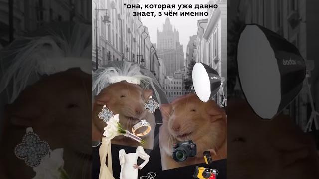 Отправляй своей хитрюжке Отправляй своей хитрюжке