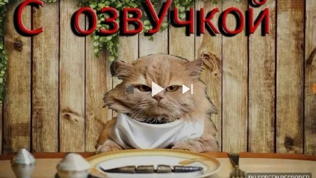 Смотрим приколы про котов с озвучкой Смотрим приколы про котов с озвучкой