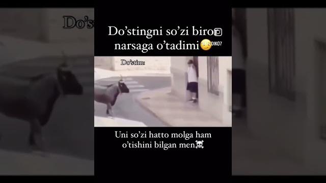 Prikollar 2024 #prikol #million Prikollar 2024 #prikol #million