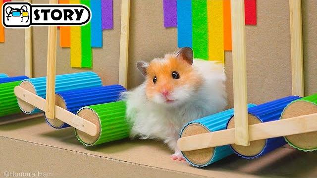 Лучшие Испытания для Хомяка - Хомяк сбегает из Самых Удивительных Лабиринтов Хомура Хам Питомцы Лучшие Испытания для Хомяка - Хомяк сбегает из Самых Удивительных Лабиринтов Хомура Хам Питомцы
