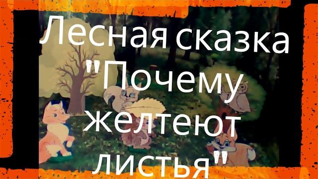 почему желтеют листья почему желтеют листья