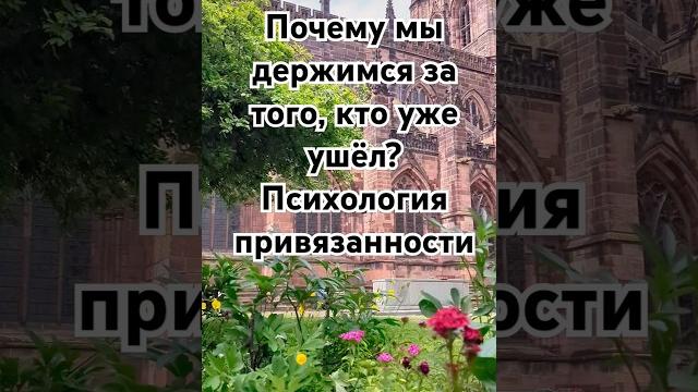 Почему мы держимся за того, кто уже ушёл? Психология привязанности #психология #отношения #shorts Почему мы держимся за того, кто уже ушёл? Психология привязанности #психология #отношения #shorts