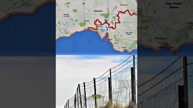 Что на самом деле спрятано за забором Австралии Что на самом деле спрятано за забором Австралии