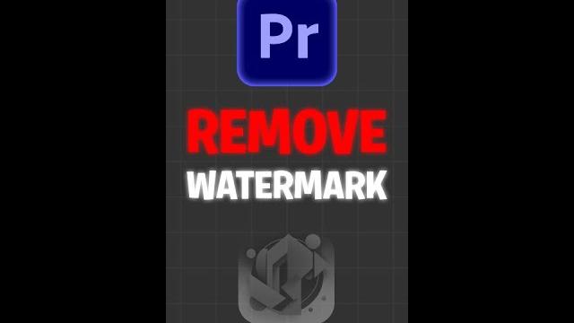 How To Remove a Watermark in Premiere Pro How To Remove a Watermark in Premiere Pro