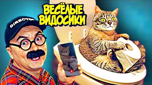 ВЕСЕЛЫЕ ВИДОСИКИ! 5 МИНУТ СМЕХА (ИЛИ НЕТ) 3 ВЫПУСК ВЕСЕЛЫЕ ВИДОСИКИ! 5 МИНУТ СМЕХА (ИЛИ НЕТ) 3 ВЫПУСК