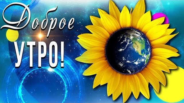 ️Доброго утра! Хорошего дня!️ Видео для #WhatsApp ️Доброго утра! Хорошего дня!️ Видео для #WhatsApp