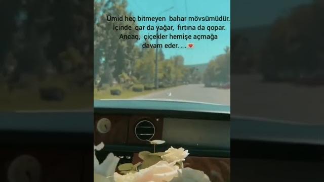 Whatsapp ucun Maraqli statuslar, qəmli video Sounds App 2022 Status ucun video,Menali video Whatsapp ucun Maraqli statuslar, qəmli video Sounds App 2022 Status ucun video,Menali video