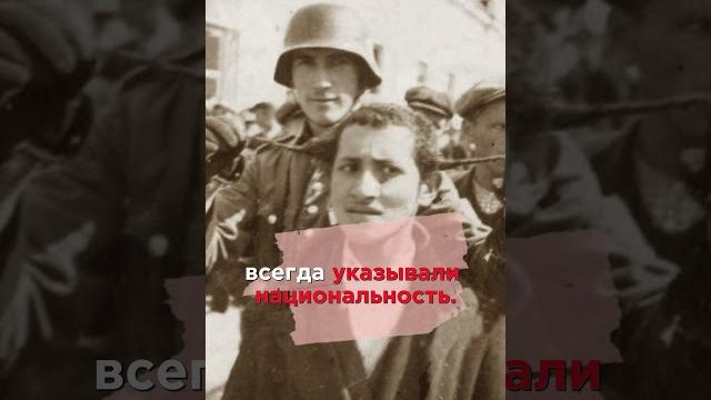 Как немцы вычисляли евреев среди населения СССР? #shorts Как немцы вычисляли евреев среди населения СССР? #shorts