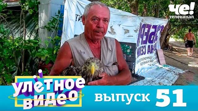 Улетное видео | Выпуск 51 Улетное видео | Выпуск 51
