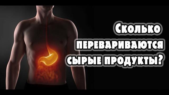 Сколько перевариваются сырые растительные продукты, совместимость продуктов для веганов сыроедов Сколько перевариваются сырые растительные продукты, совместимость продуктов для веганов сыроедов