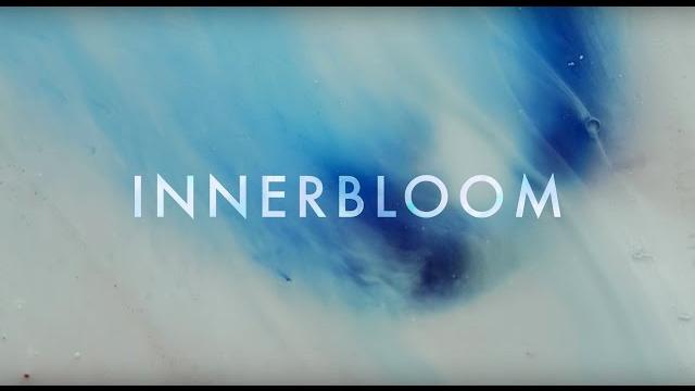 RÜFÜS DU SOL ●● Innerbloom (Official Video) RÜFÜS DU SOL ●● Innerbloom (Official Video)