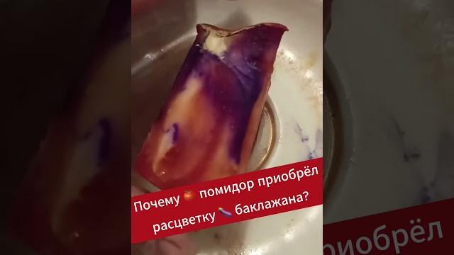 Беларус обратил внимание на странное изменение цвета помидора #беларусь #belarus #огород #овощи Беларус обратил внимание на странное изменение цвета помидора #беларусь #belarus #огород #овощи