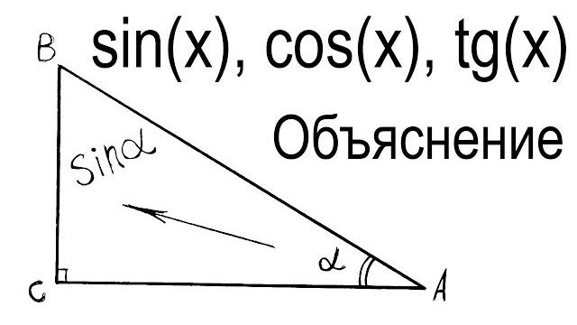 Что такое синус, косинус, тангенс и котангенс объяснение Что такое синус, косинус, тангенс и котангенс объяснение