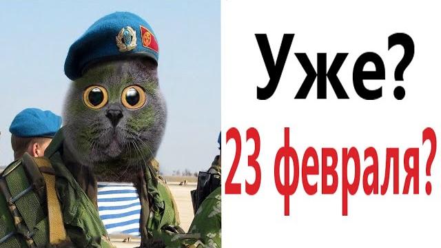Приколы! КАК 23 ФЕВРАЛЯ?!! Смешные видео от – Доми шоу! Приколы! КАК 23 ФЕВРАЛЯ?!! Смешные видео от – Доми шоу!