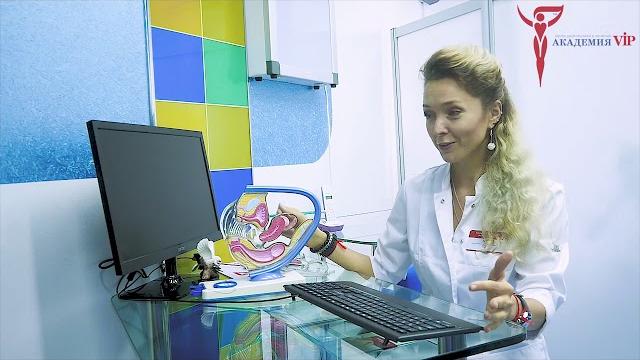 Становление цикла у подростка Становление цикла у подростка
